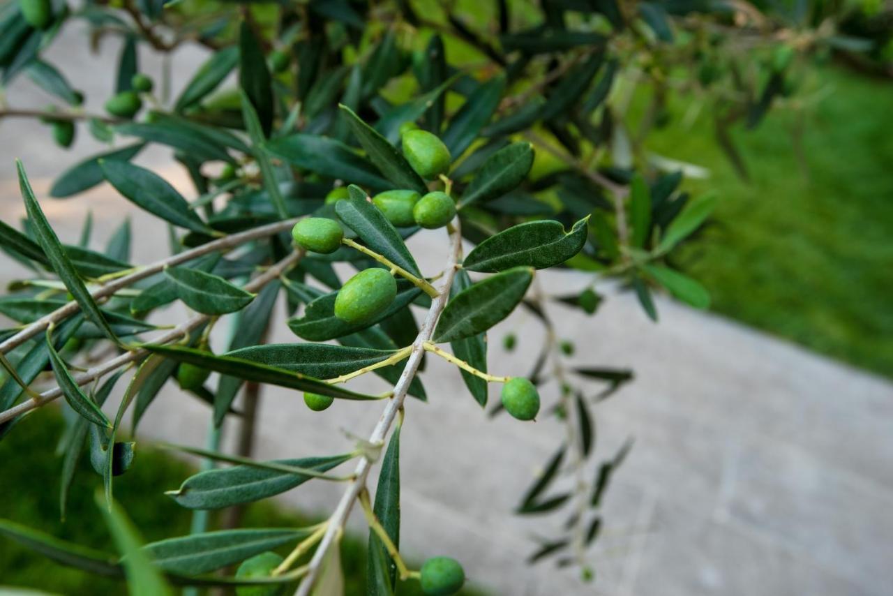 Olive 101 Lägenhet Peraía Exteriör bild